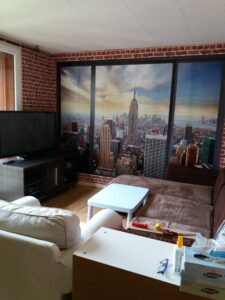 MUR-EFFET-BRIQUE-BASILLE-2